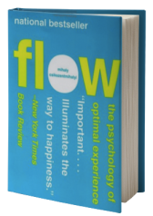 the flow experience graph