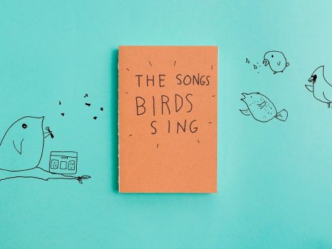 The Bird Song- Brad Montague