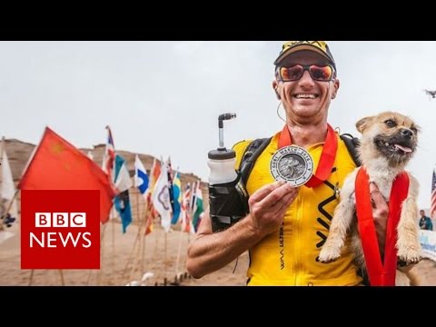 Stray dog joined extreme runner during China race – BBC News